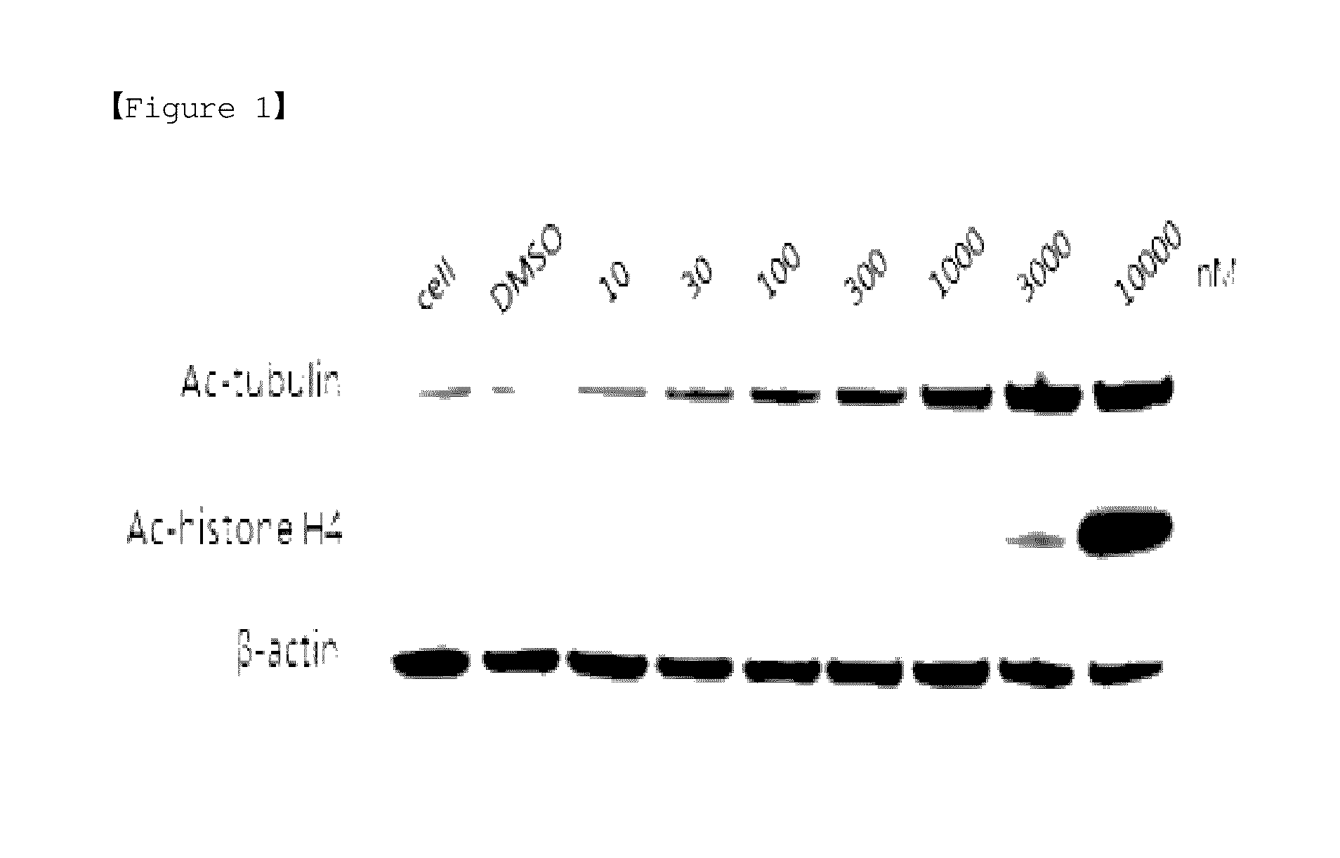 Novel indole derivative compound and pharmaceutical composition comprising the same