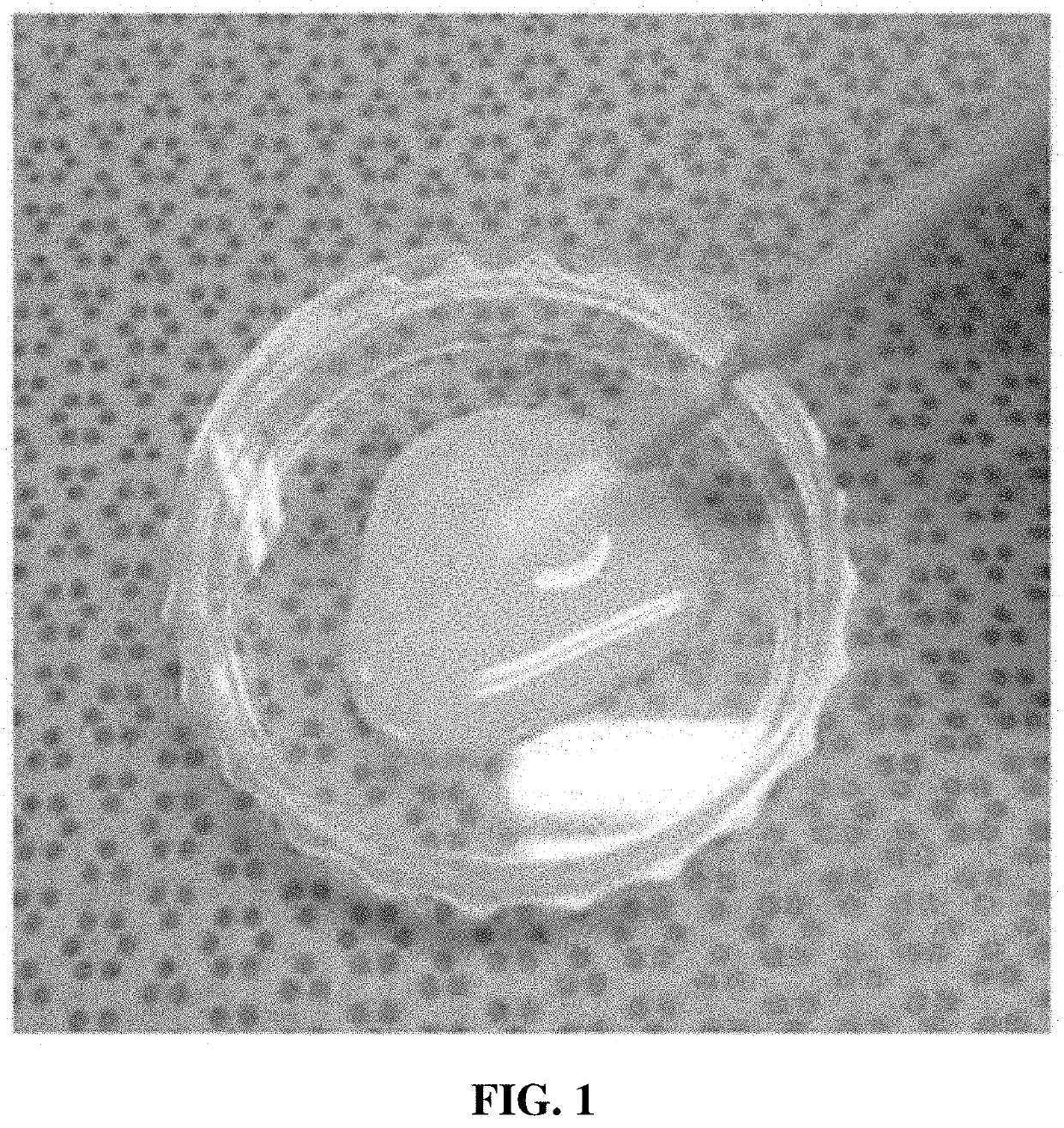 Fluorine coating agent having enhanced dental tubule permeability and coating endurance and method for preparing same