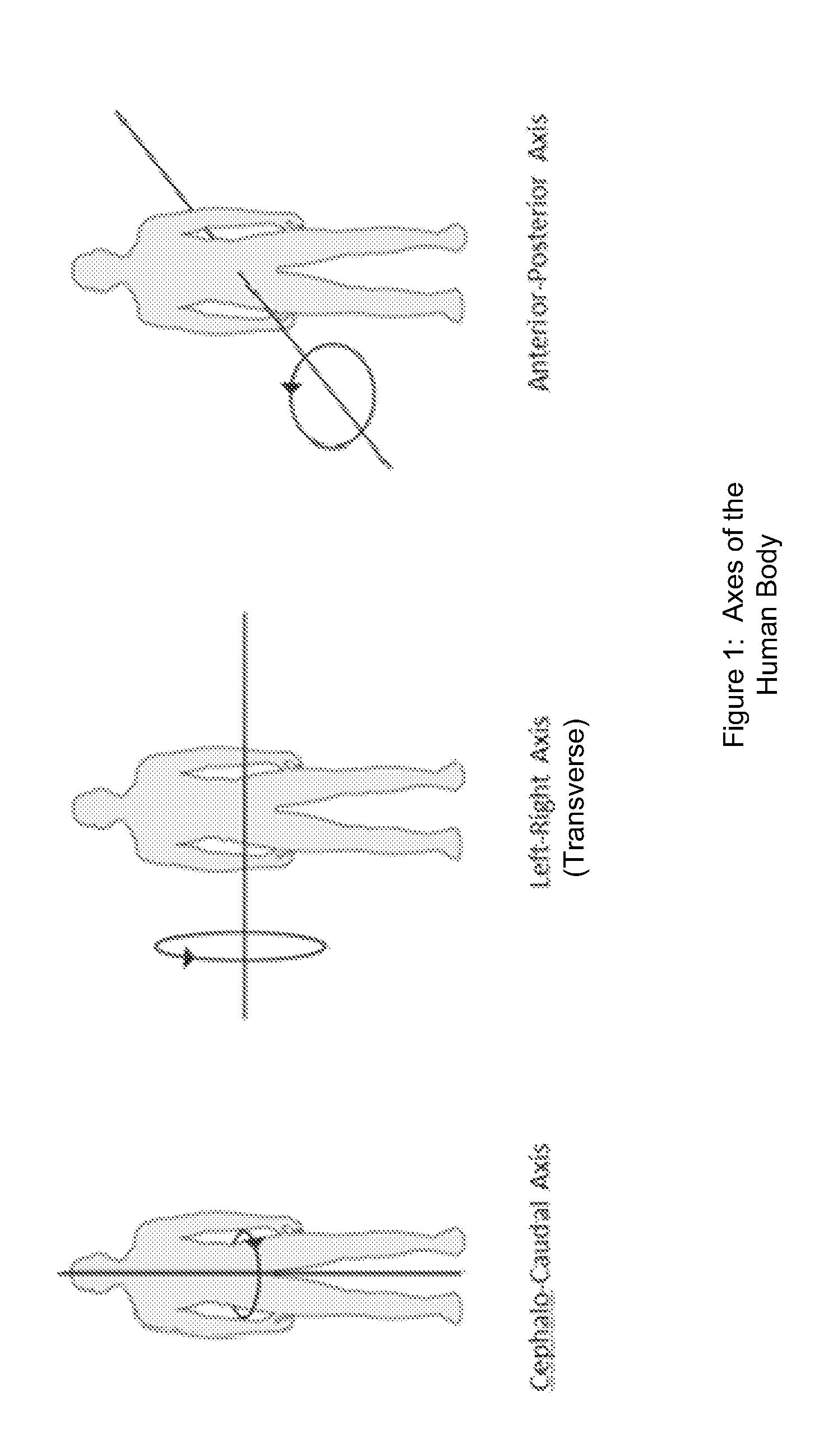 System and method for analyzing patient orientation, location and movement