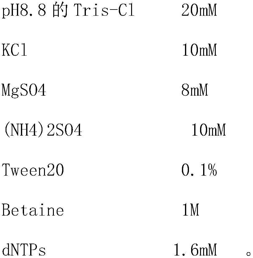 Primers for detecting potato M viruses, kit and method