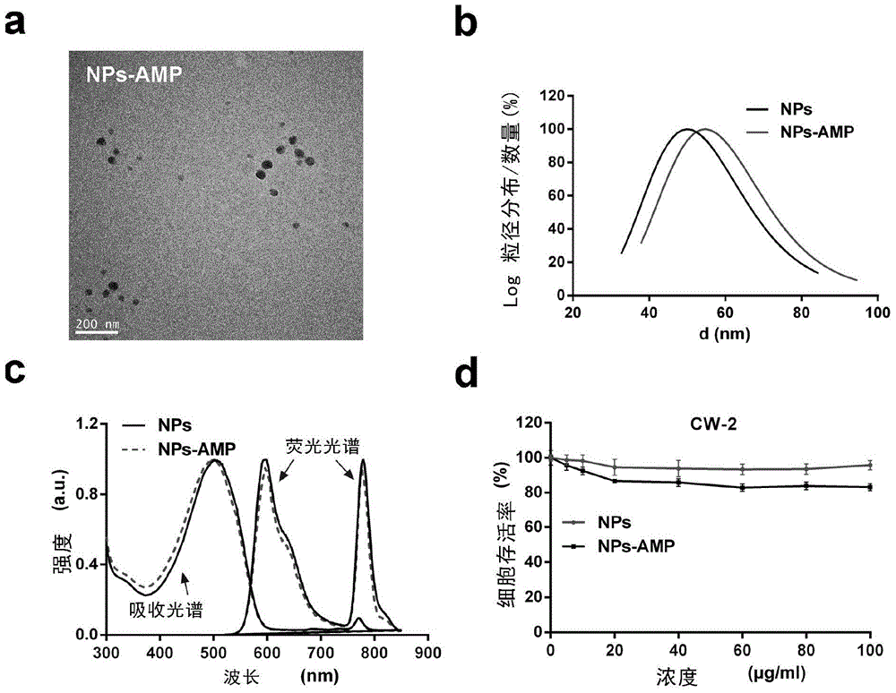 Construction and application of adenosine 5'-monophosphate mediated nano transmission system for target tumor