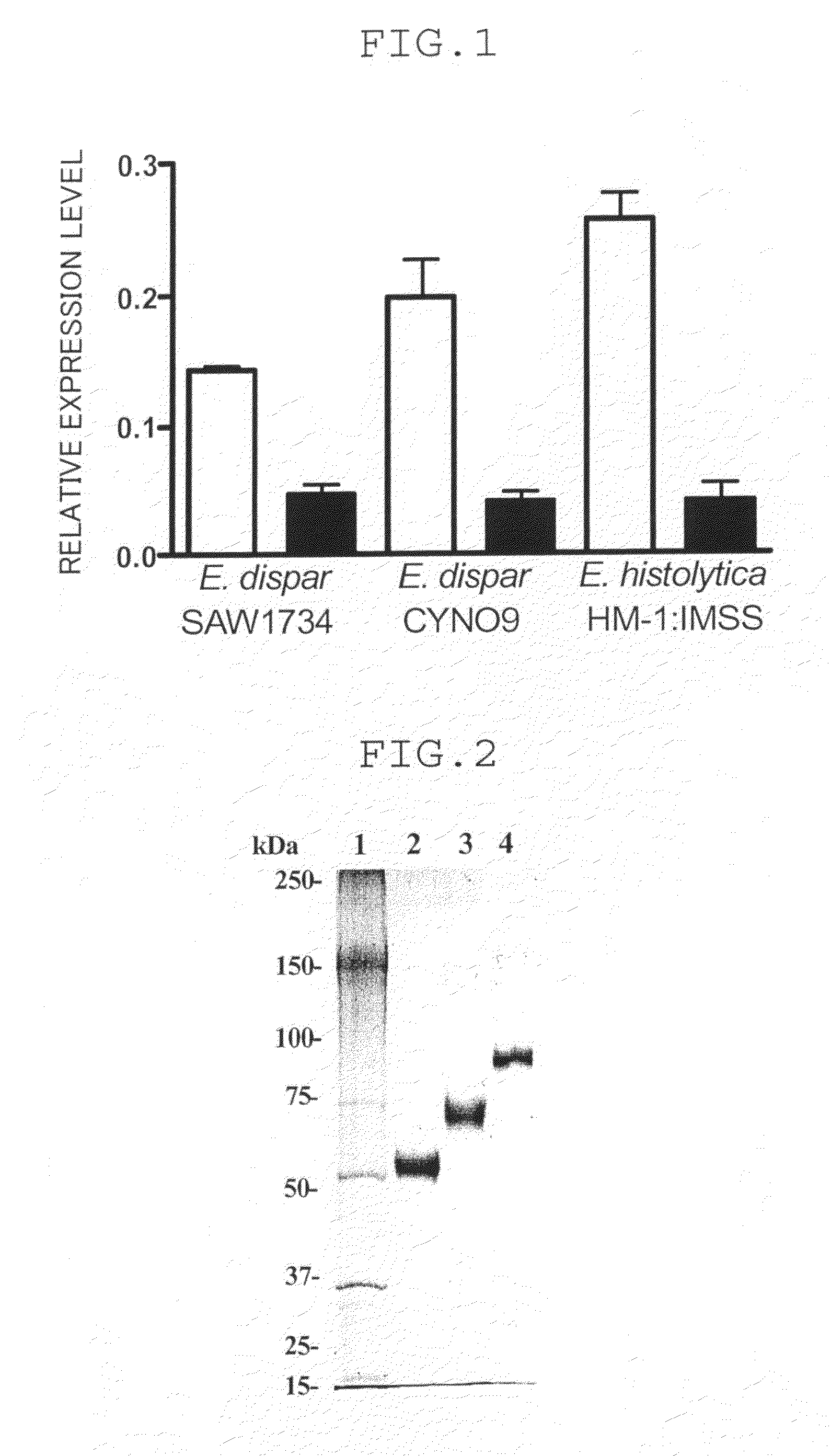 Amebiasis vaccine