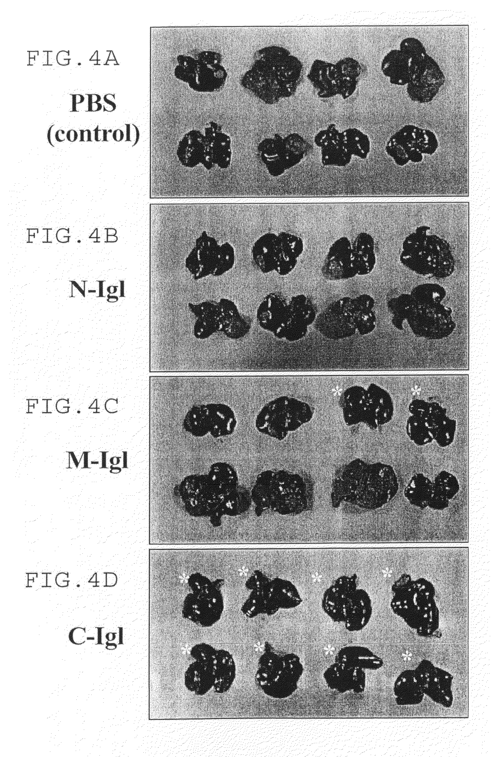 Amebiasis vaccine