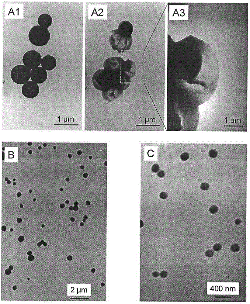 Application of nano selenium as X-ray radiation therapy sensitizer