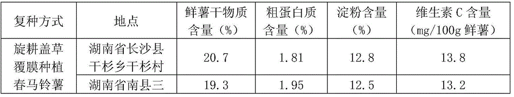 A kind of three cropping multiple cropping method of potato-double-cropping rice