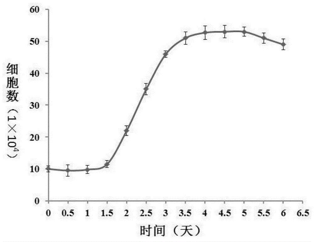 Construction and application method of cynoglossus semilaevis pseudo male gonad cell line