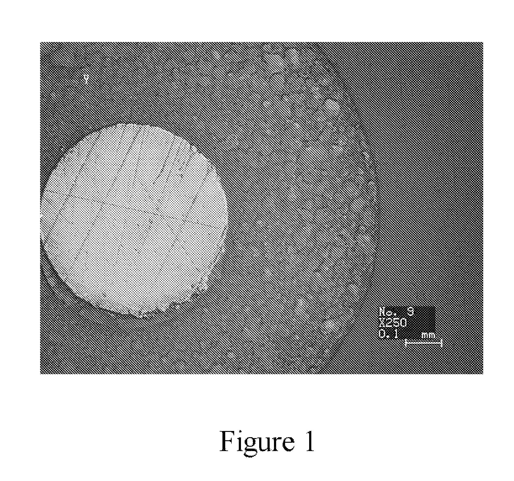 Foaming Resin Composition, Foam Using the Same and Coaxial Insulated Cable