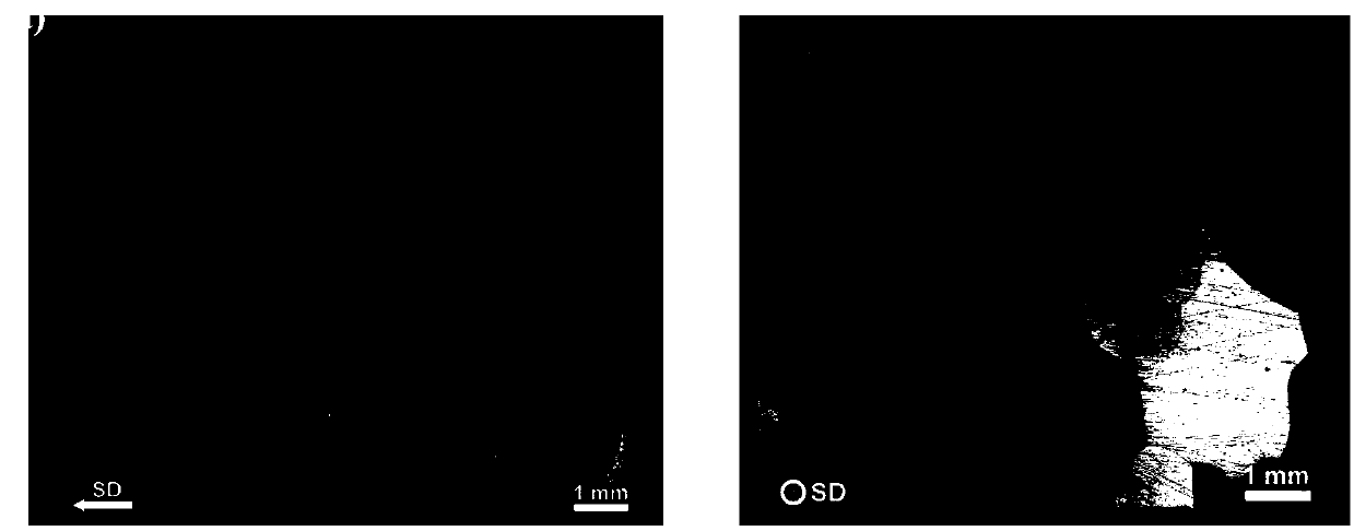 Preparation method of orientation-controllable Cu-Al-Mn shape memory alloy single crystals