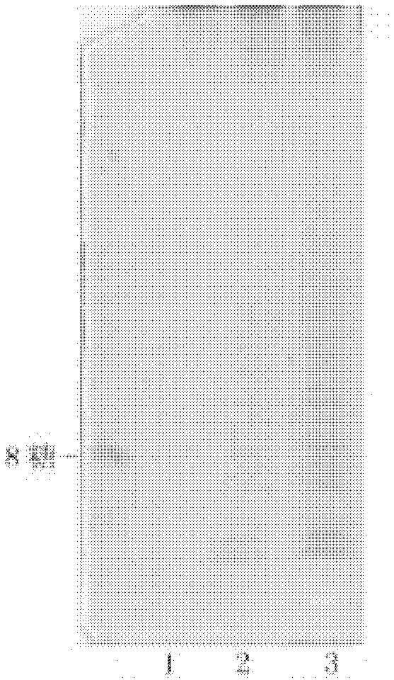 A kind of preparation method of λ-carrageenan oligosaccharide