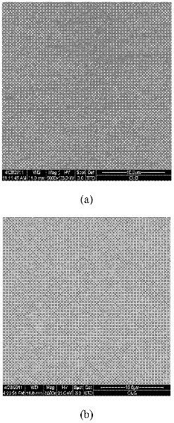 Method for double-pulse electrodeposition of nanocrystalline nickel-cobalt alloy
