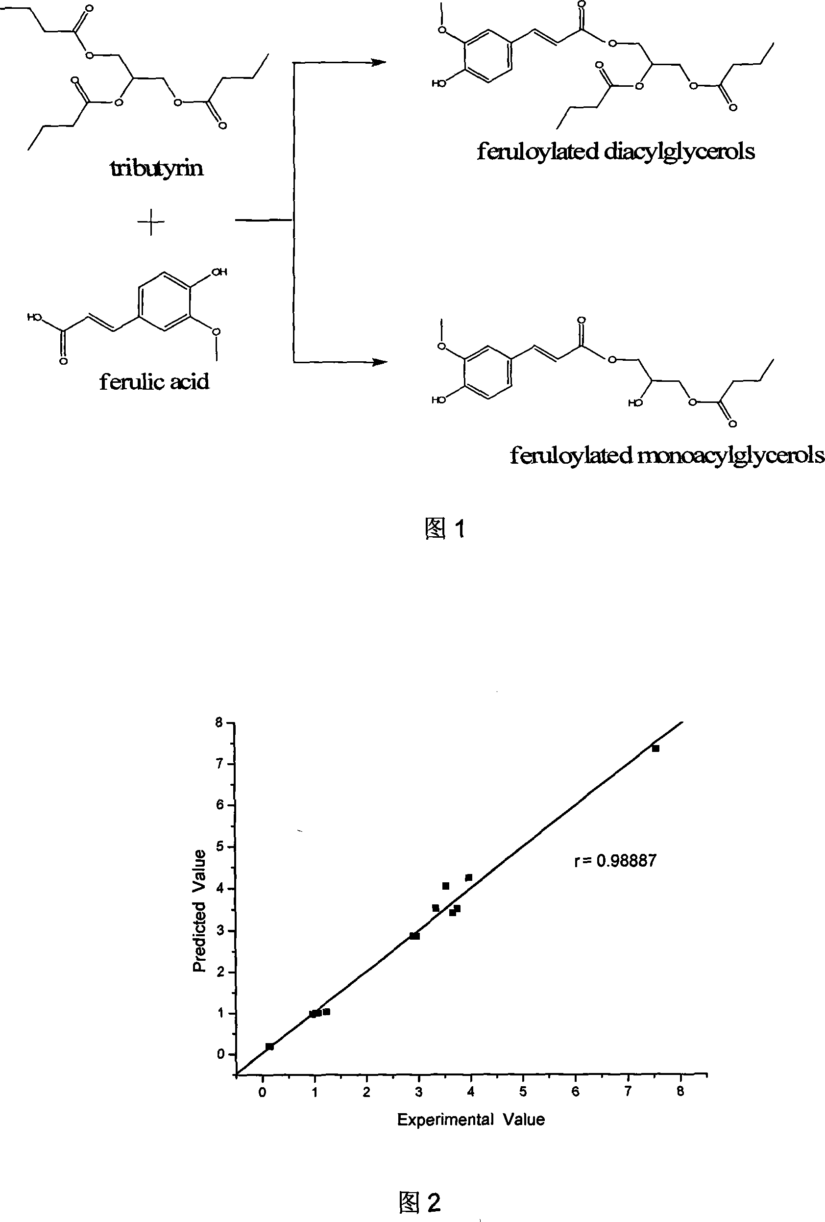 Synthesis of ferulic acid monoglyceride by quadratic universal rotational regression and response surface method combined with enzyme