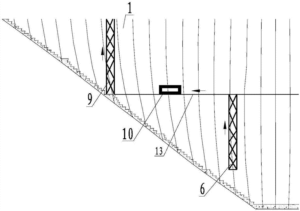 Fish passing system suitable for reservoir water level large-variation-range ultrahigh arch dam