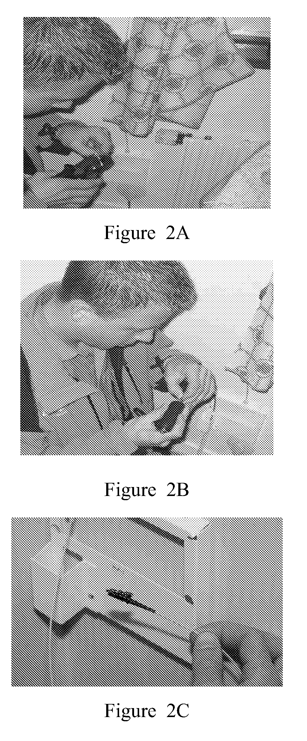 Modified Pre-Ferrulized Communication Cable Assembly and Installation Method