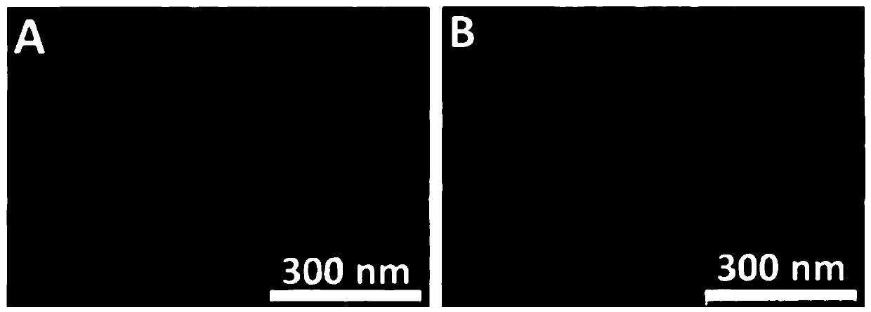 Method for rapidly removing trace nano-material in water