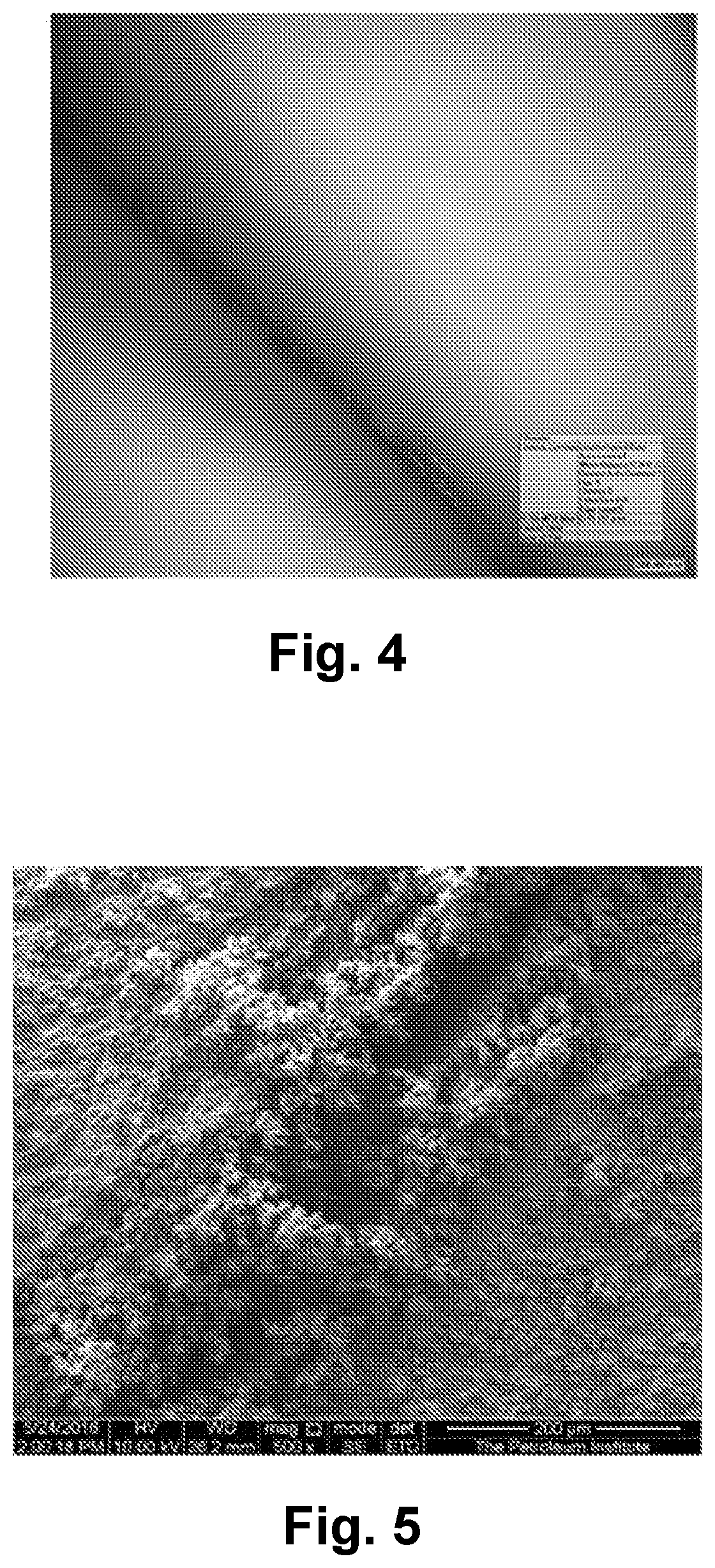 Mesoporous carbon based nanocontainer coatings for corrosion protection of metal structures
