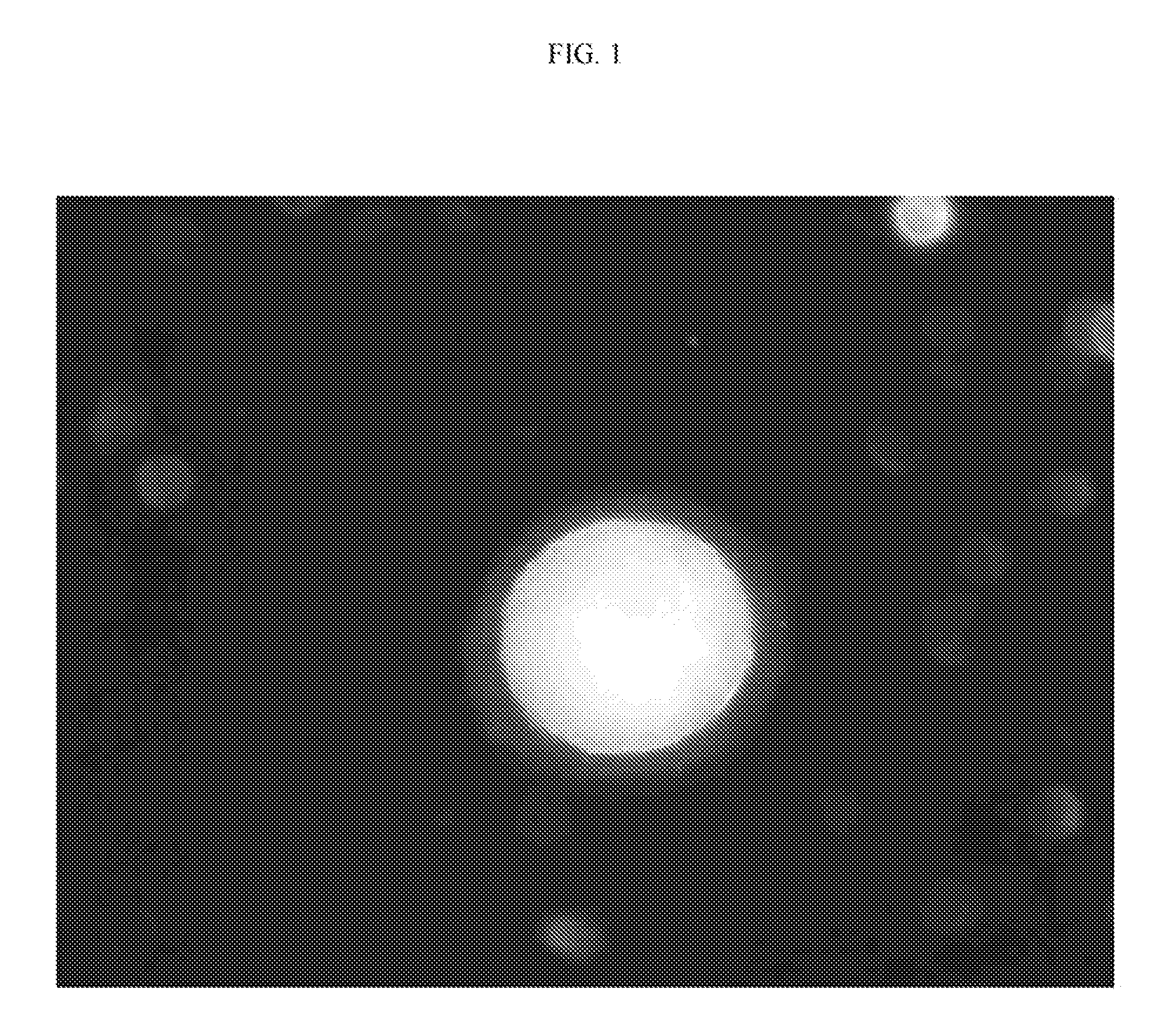 Methods, Compositions, and Sequences of ZP-Binding Peptides for Immunocontraception of Dogs and Other Animals