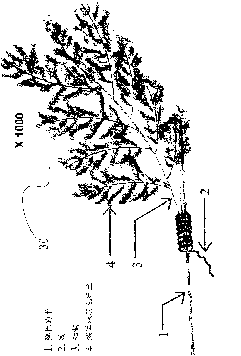 Crawling insect barrier device and corresponding method