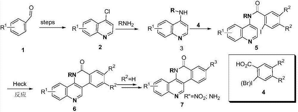 Dibenzonaphthyridinone compounds and their preparation methods and applications