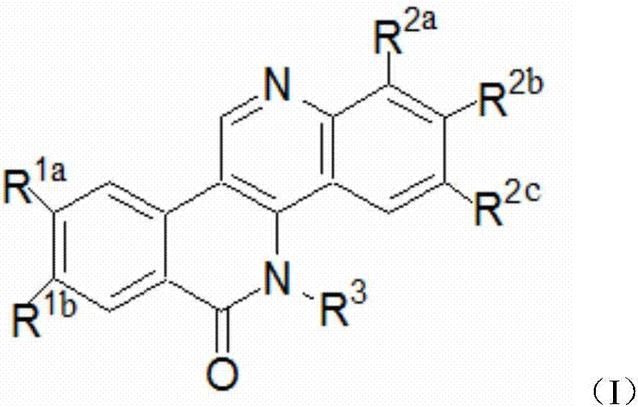 Dibenzonaphthyridinone compounds and their preparation methods and applications
