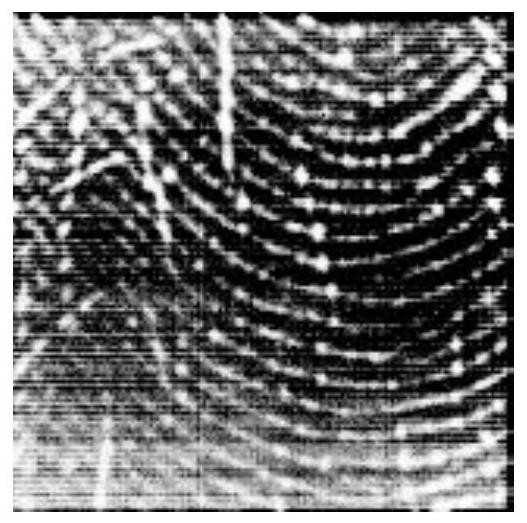 Fingerprint image noise reduction method and device