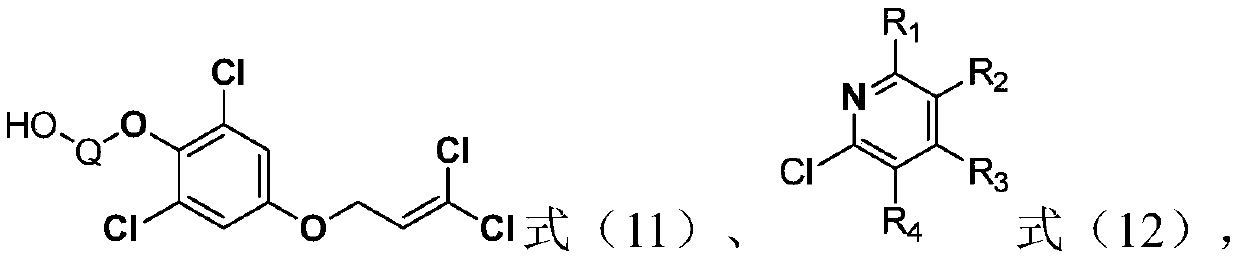 Cyanopyridine-containing dichloropropene ether compound, preparation method and application thereof, and insecticide