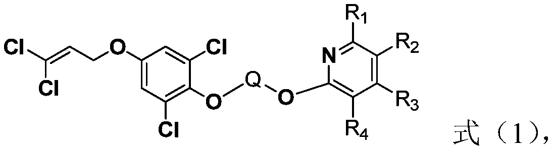 Cyanopyridine-containing dichloropropene ether compound, preparation method and application thereof, and insecticide