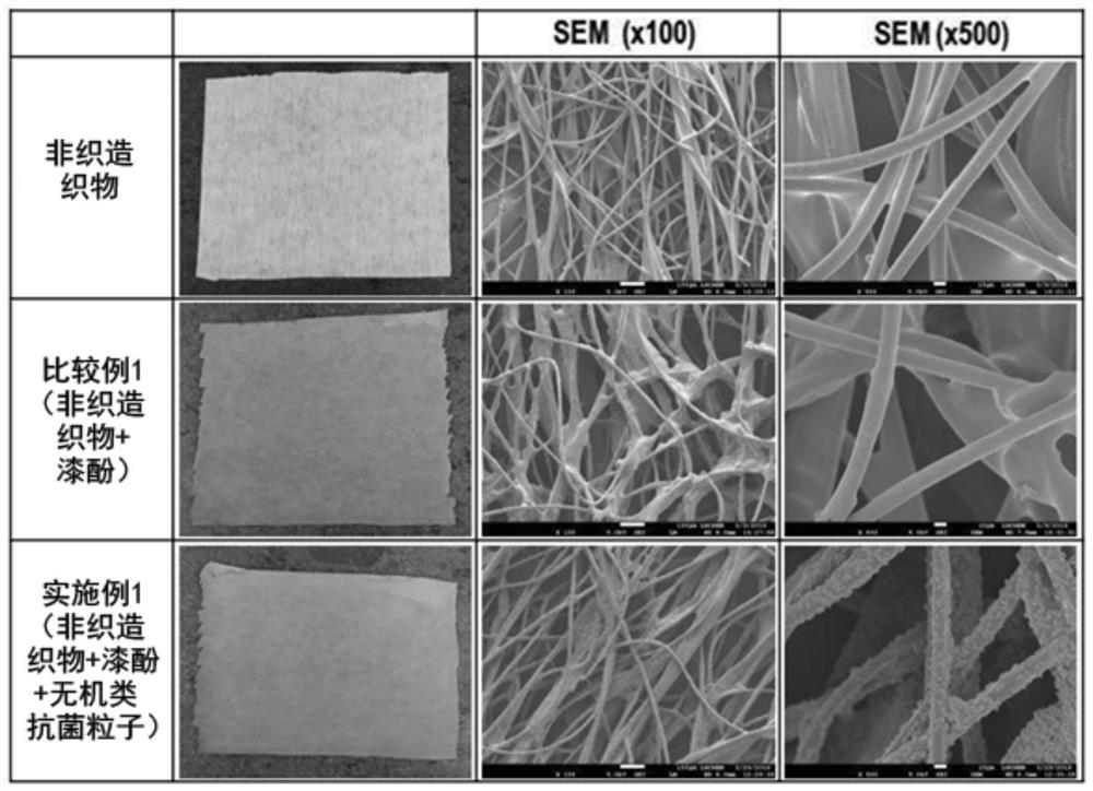 Substrate treated with antimicrobial coating agent and method for producing same