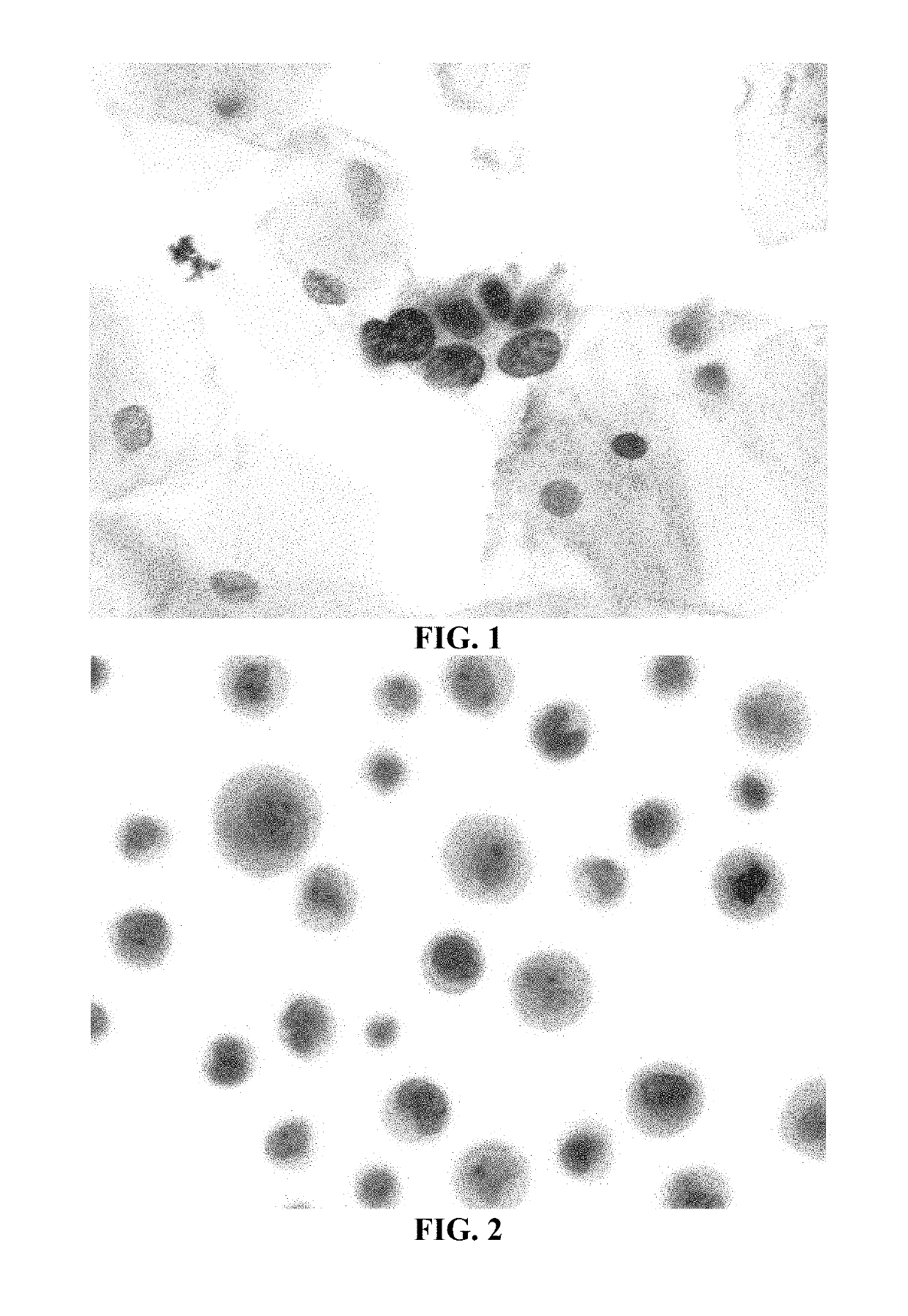 Methods and compositions for preparing samples for immunostaining