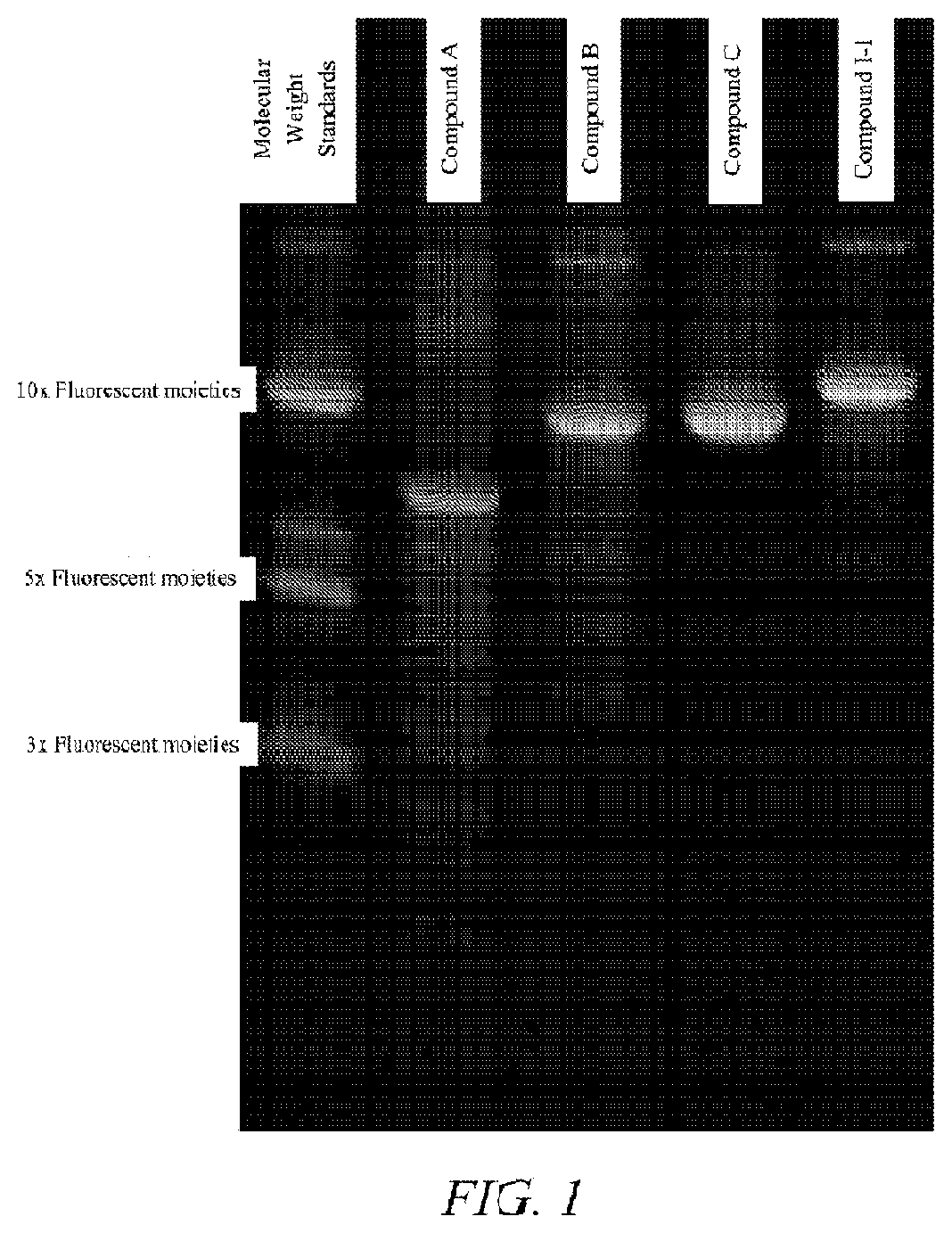 Polymeric dyes with linker groups comprising deoxyribose