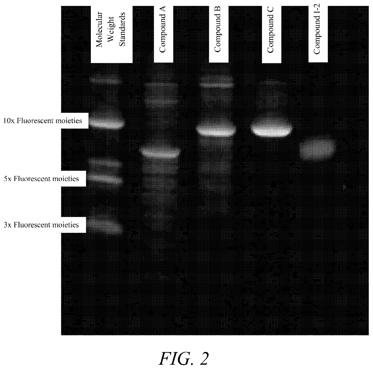 Polymeric dyes with linker groups comprising deoxyribose