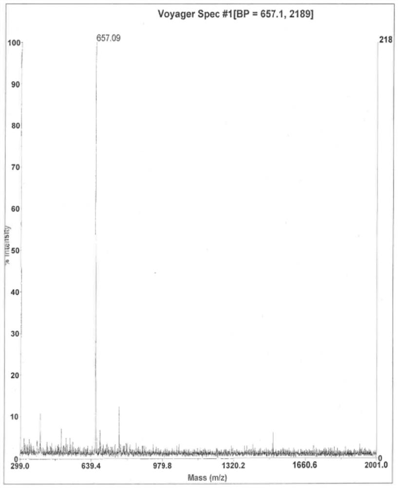 PSMA-targeted fluorescent molecular probe as well as preparation method and application thereof