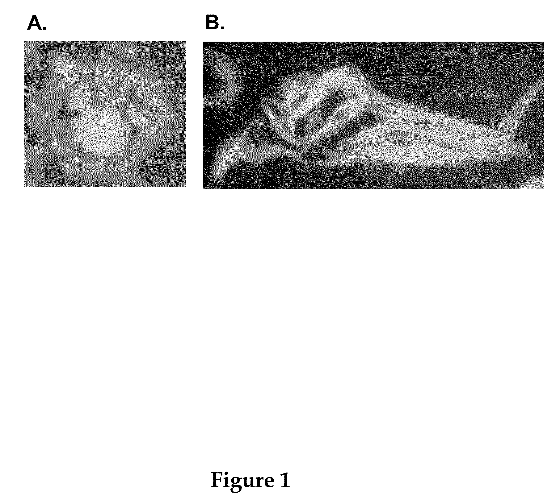 Tau protein screening assay