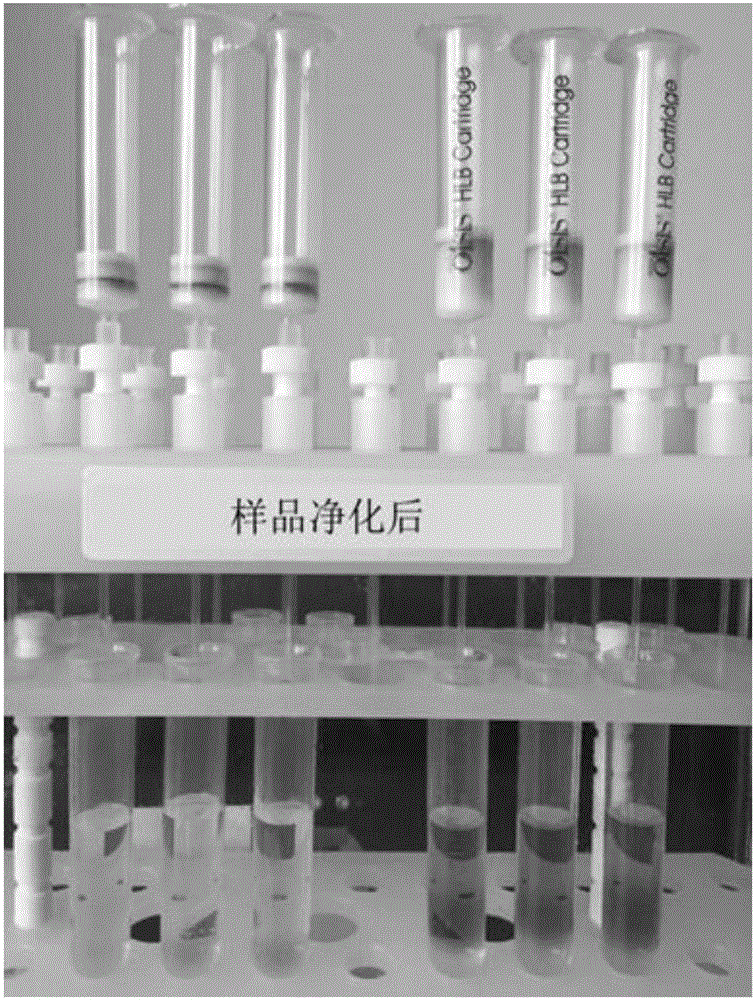 Multifunctional decontaminating column used for detecting alternaria spp toxin and use method thereof