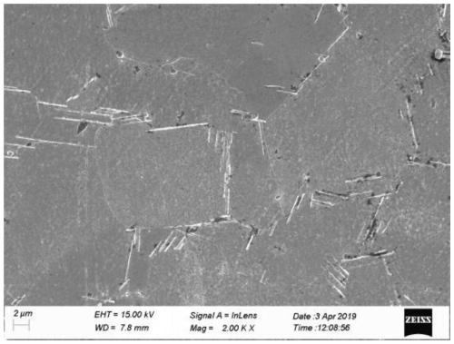 Treatment method for enhancing thermal fatigue property of forged Ni-Cr-Co based alloy
