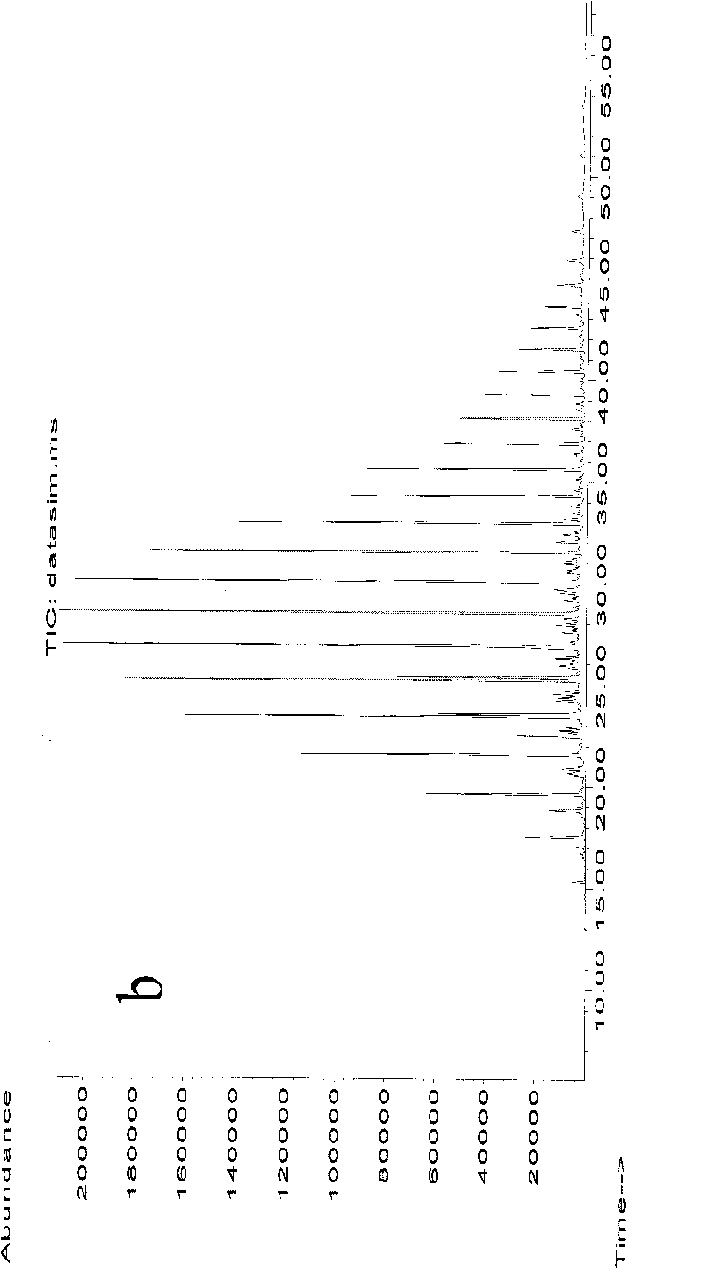 Microbial inoculum for bioremediating coastline polluted by oil spilling and preparation method thereof