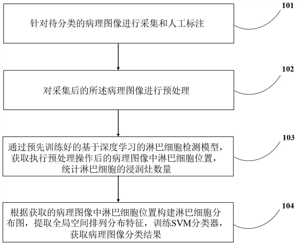 Pathological image classification method and system based on deep learning and machine learning