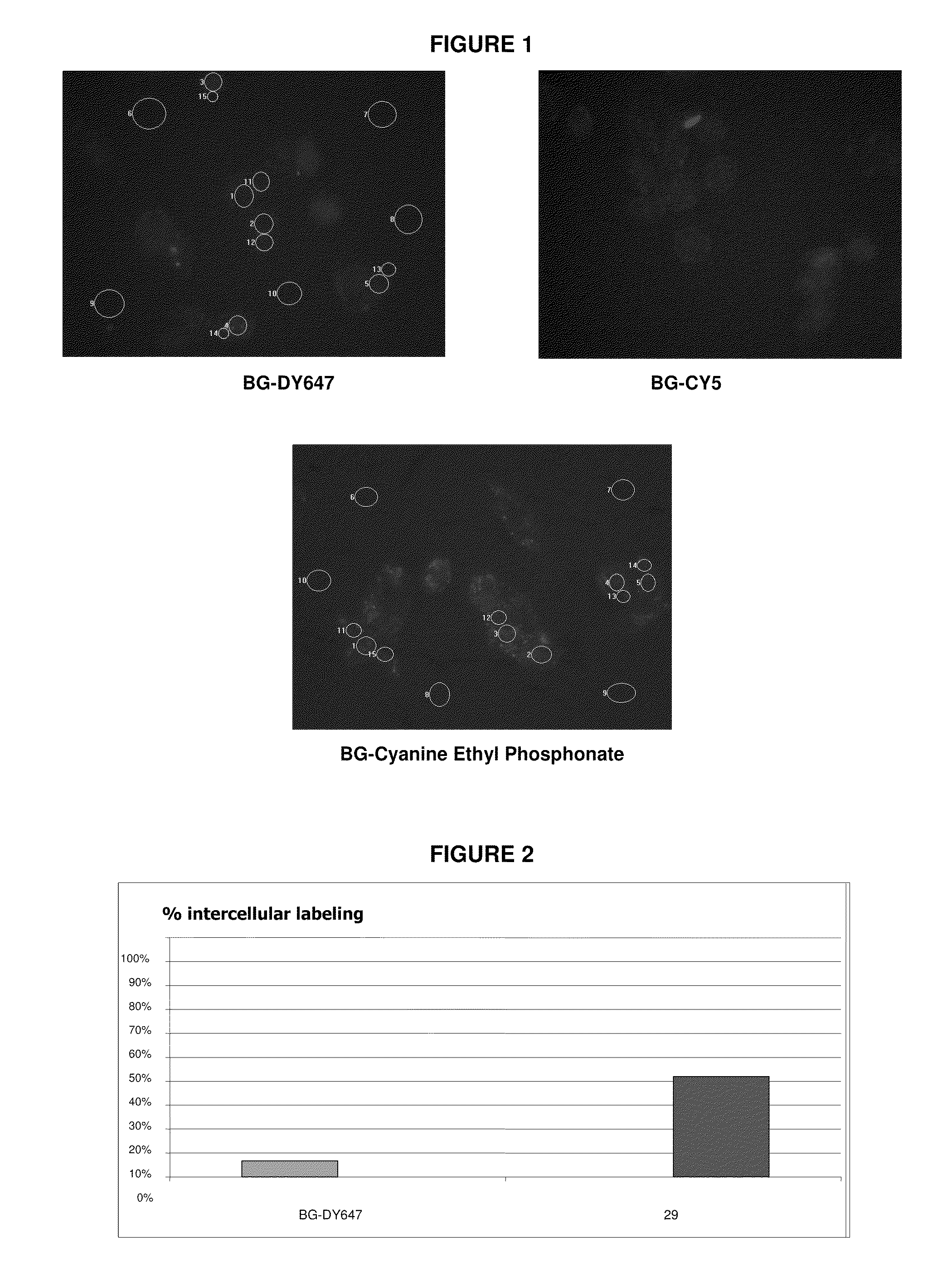 Cyanine derivatives, fluorescent conjugates containing same and use thereof