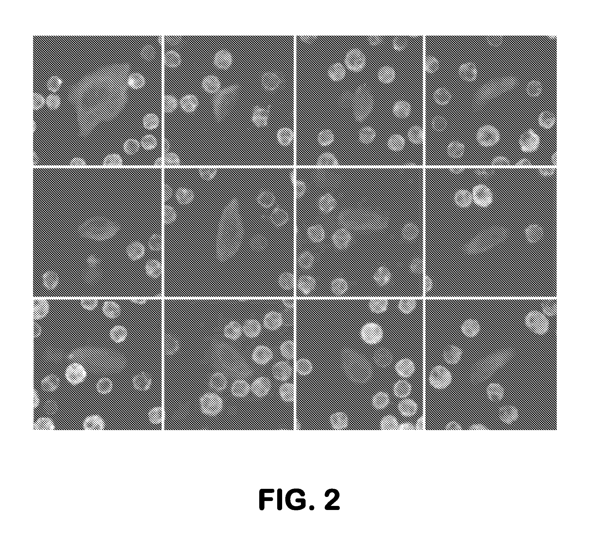 Method of Using Non-Rare Cells to Detect Rare Cells