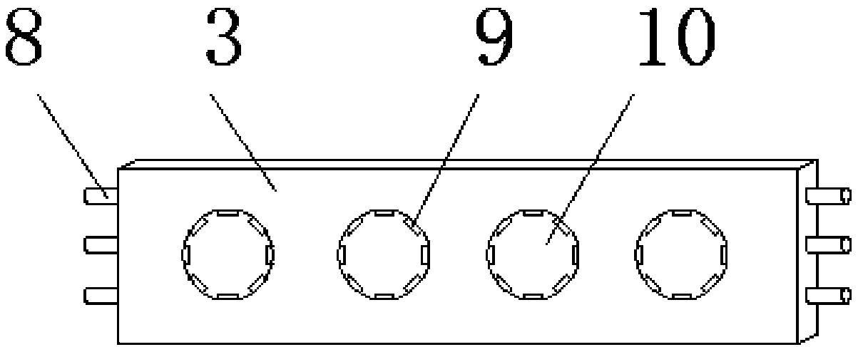 Coastal zone vertical greening planting device and method