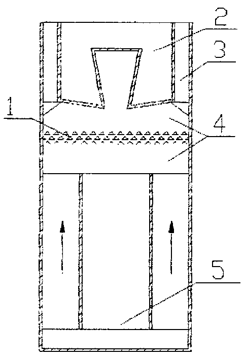 Maze biological carrier separator for biological fluidizing reactor