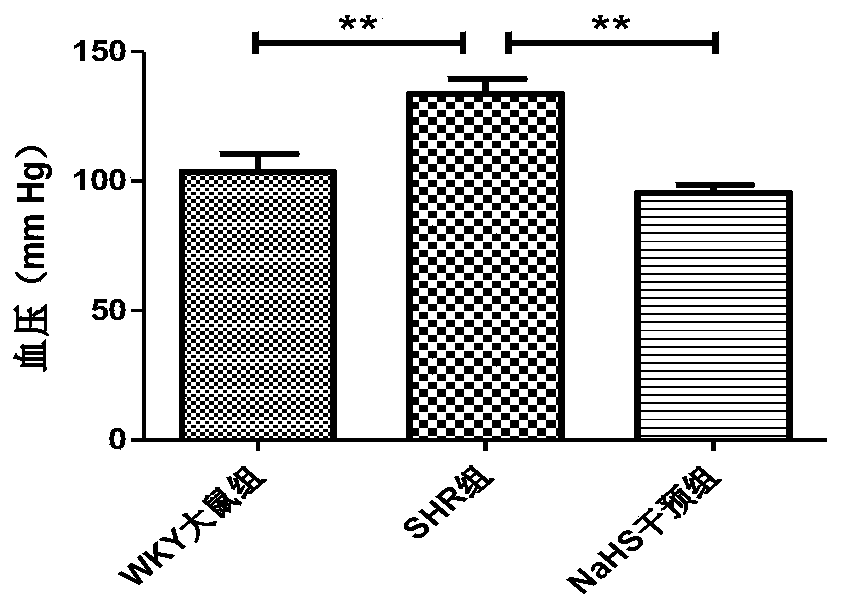 An experimental method to demonstrate the relationship between hydrogen sulfide and gap junctions