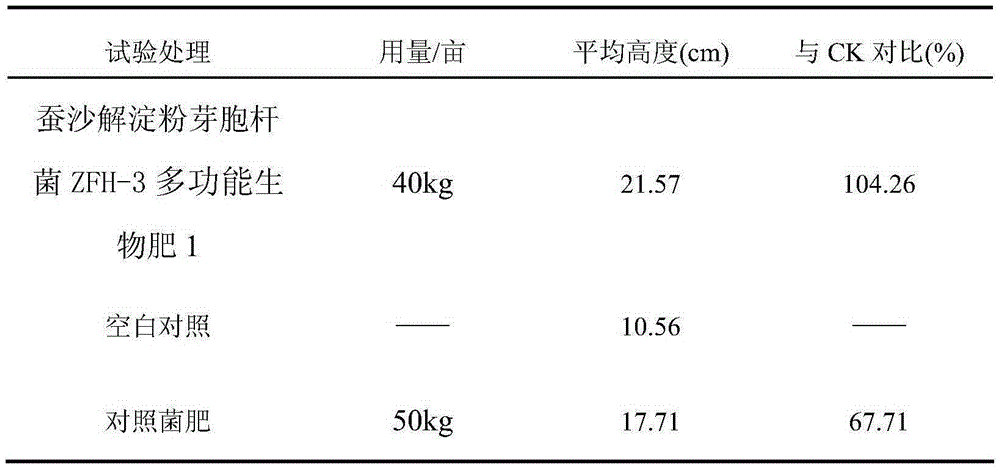 Silkworm excrement and bacillus amyloliquefaciens ZFH-3 containing multifunctional biological fertilizer and application thereof