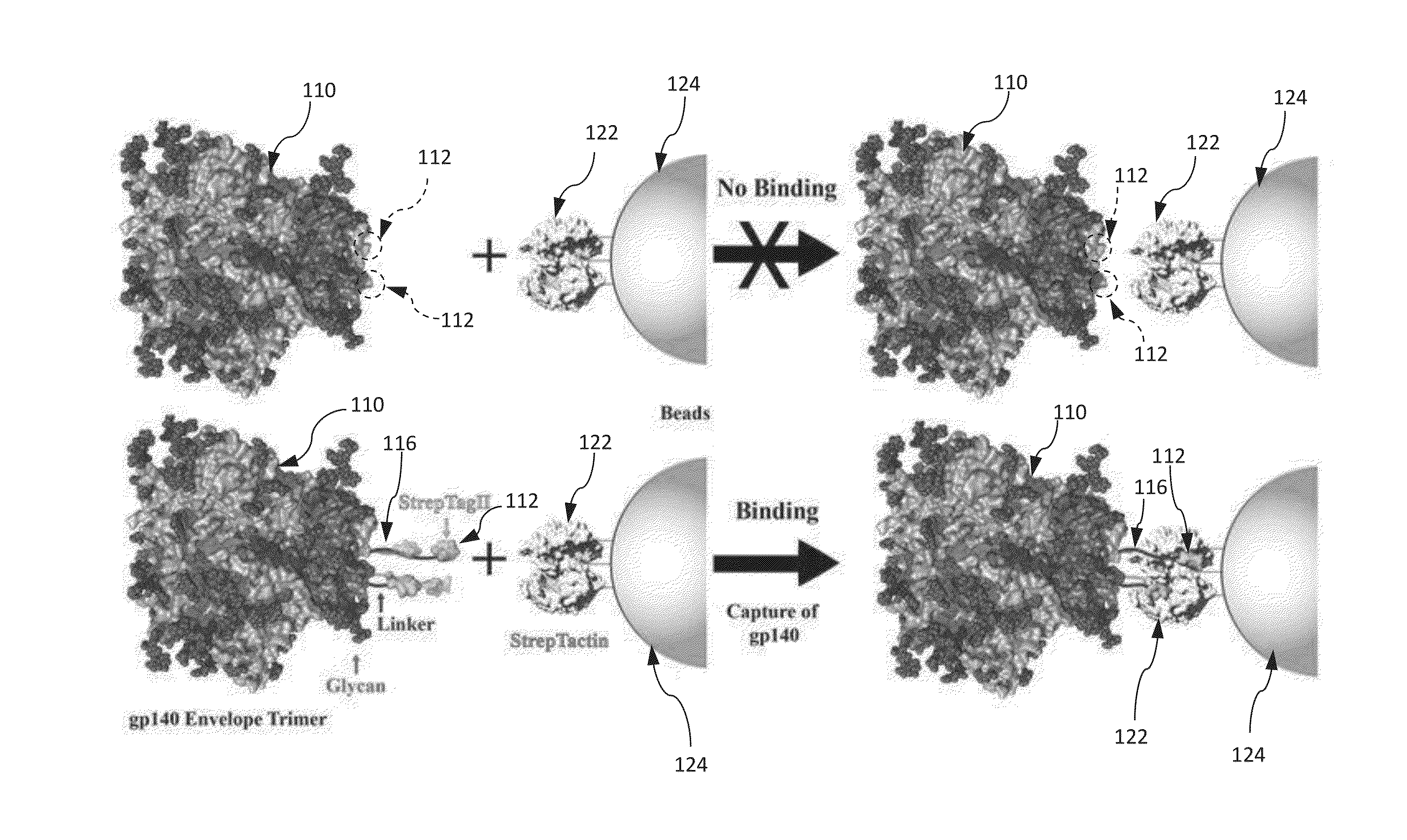 Approach to produce hiv-1 gp140 envelope protein trimers