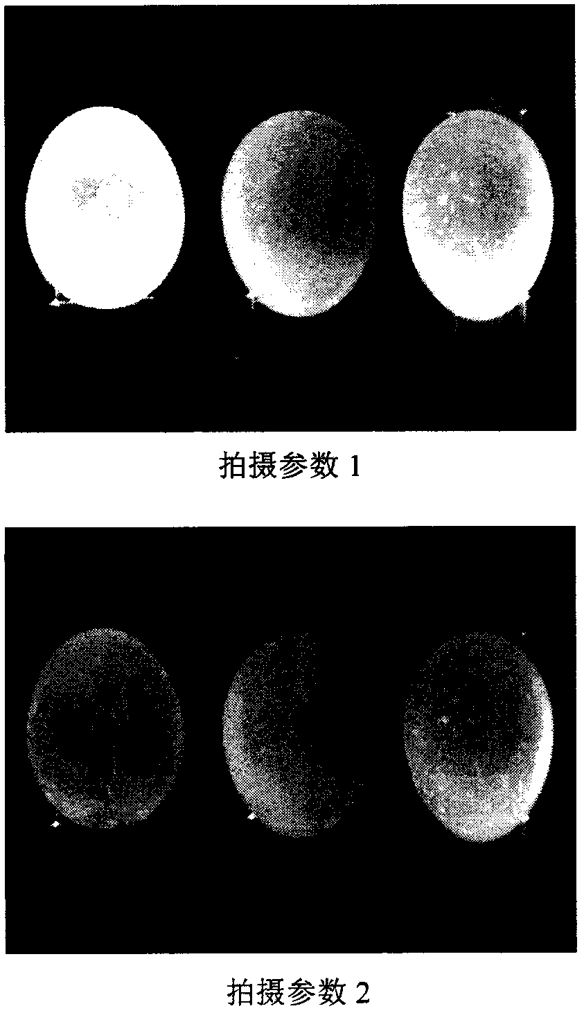 Dynamic egg image acquisition equipment