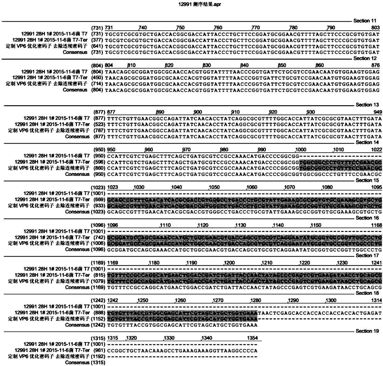 Yak-derived Rotavirus recombinant VP6 protein antigen and application thereof