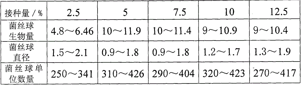 Agaricus bisporus liquid strain and preparation method thereof