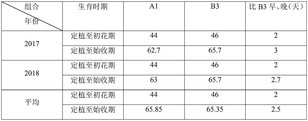 Cultivation method of new variety of local characteristic Feiyue series bitter gourds