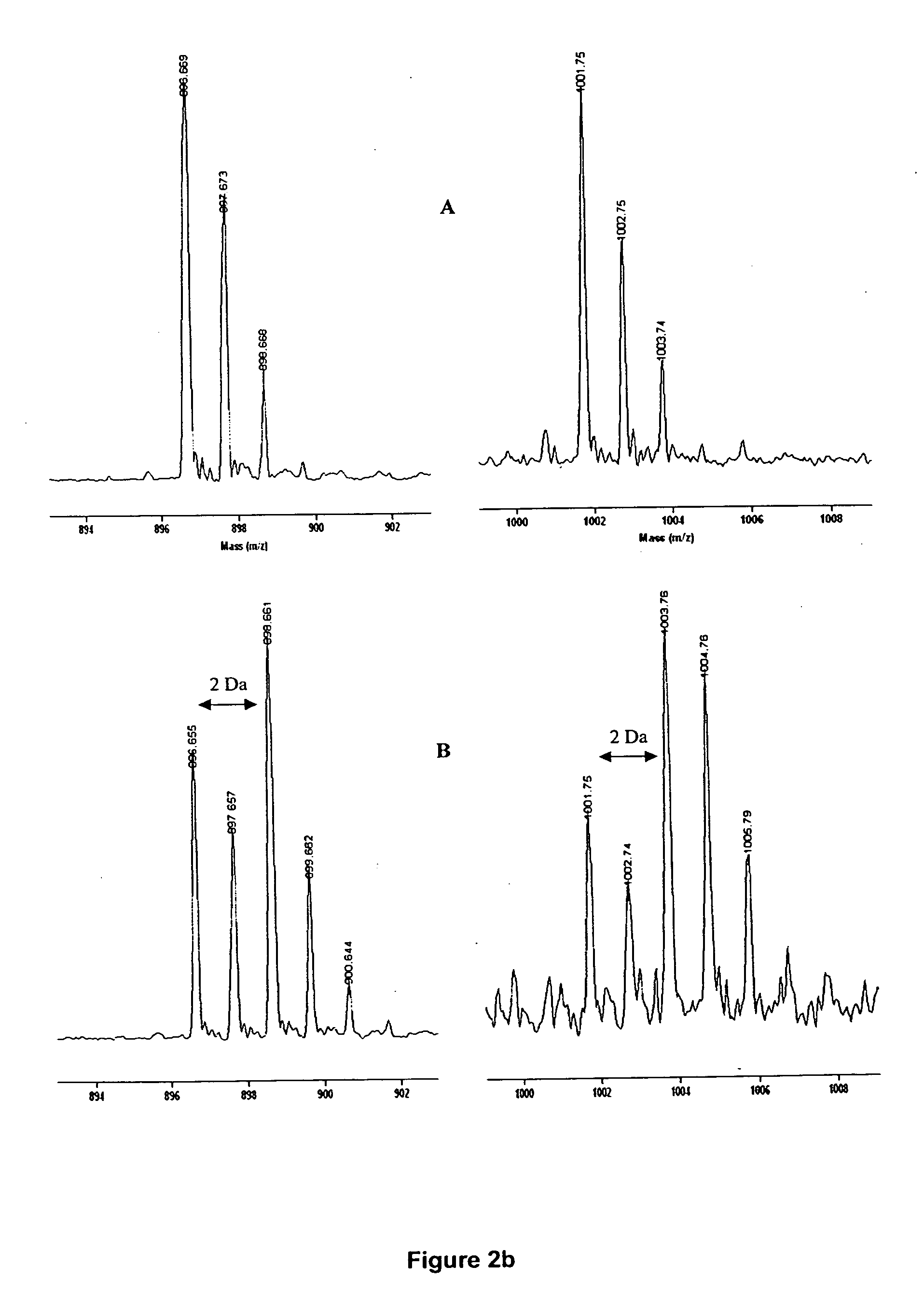 Stable isotope, site-specific mass tagging for protein identification