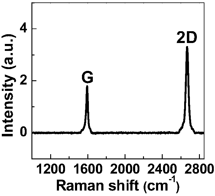 A method for rapid and continuous preparation of large domain graphene films