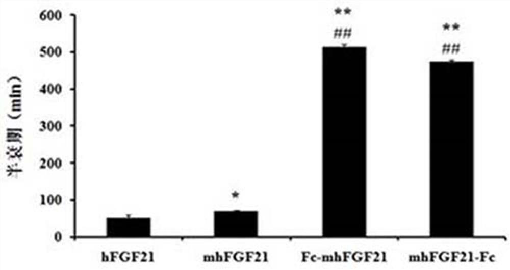 A mutant cytokine fusion protein for the treatment of metabolic diseases